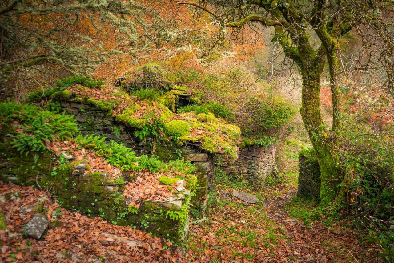 Penzion A Casoa Santa Eulalia de Oscos Exteriér fotografie