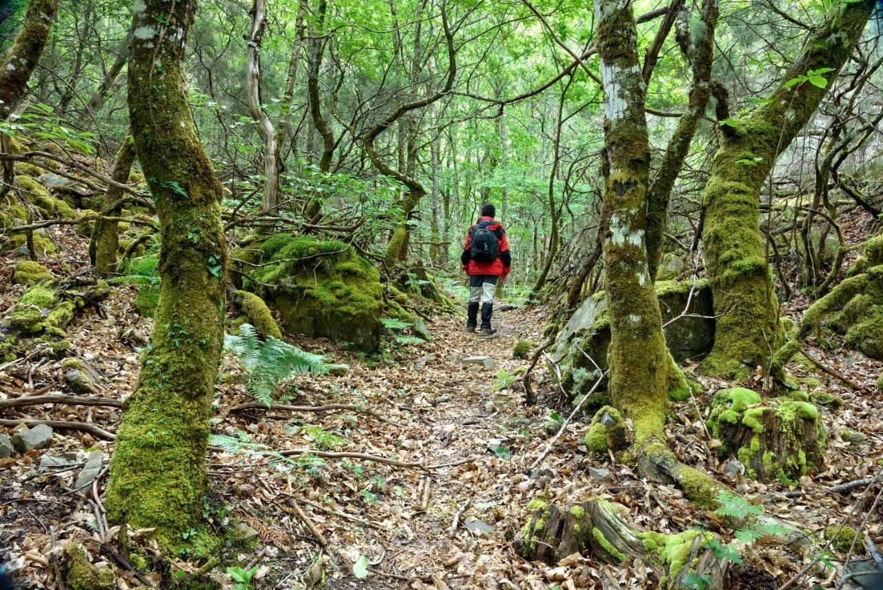 Penzion A Casoa Santa Eulalia de Oscos Exteriér fotografie